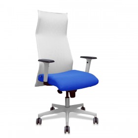 Sedia da Ufficio Piqueras y Crespo 54BR65G Azzurro Bianco