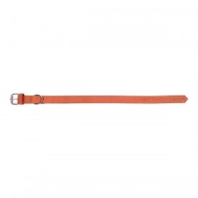 Collare per Cani Gloria Oasis Rosso (1,5 x 40 cm)