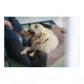 Divano per cani Hunter Boston 80x60 cm Marrone