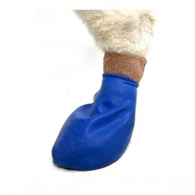 Stivali Pawz Cane 12 Unità Taglia XL Verde
