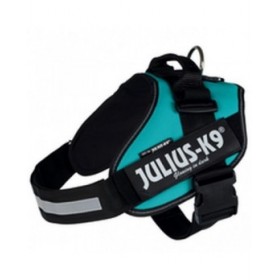 Imbracatura per Cani Julius K9 IDC Azzurro L/XL 2
