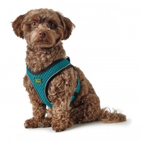 Imbracatura per Cani Hunter Hilo Comfort 55-60 cm Taglia M Turchese