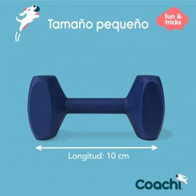 Manubrio Coachi TRAINING DUMBBELL Azzurro