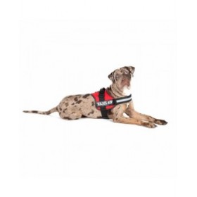 Imbracatura per Cani Julius K9 Power Rosso L/XL 2