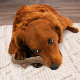 Giocattolo da mordere per cani Nylabone Marrone Burro Di Arachidi M