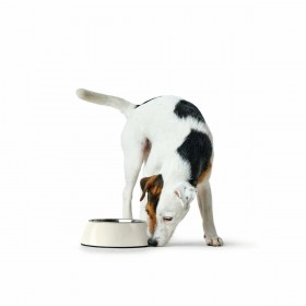 Ciotola per cani Hunter Nero 1,4 L Melammina
