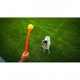 Lancia Palline per Cani Hunter
