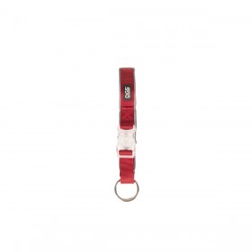 Collare per Cani Dog Gone Smart Rosso 12 Luce