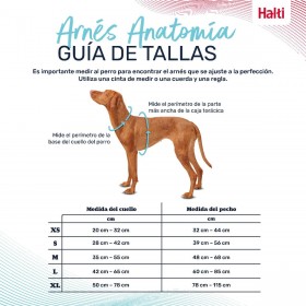 Imbracatura per Cani Company of Animals Turchese XS 20-32 cm