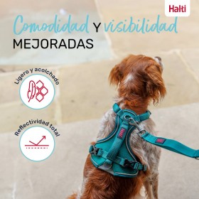 Imbracatura per Cani Company of Animals Turchese XS 20-32 cm