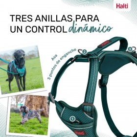 Imbracatura per Cani Company of Animals Turchese XS 20-32 cm