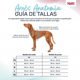Imbracatura per Cani Company of Animals Grigio M 35-55 cm