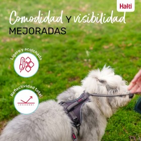 Imbracatura per Cani Company of Animals Grigio M 35-55 cm