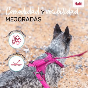 Imbracatura per Cani Company of Animals Bordeaux M 35-55 cm