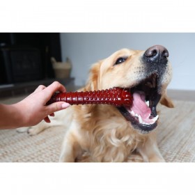 Osso Nylabone Marrone Bacon XL