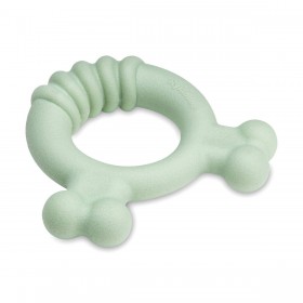 Giocattolo da mordere per cani Nylabone SENSORY TACTILE RING Verde Burro Di Arachidi Pollo S