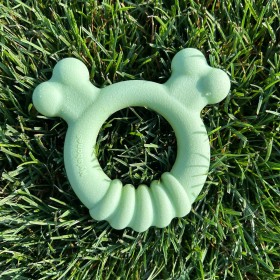 Giocattolo da mordere per cani Nylabone SENSORY TACTILE RING Verde Burro Di Arachidi Pollo S