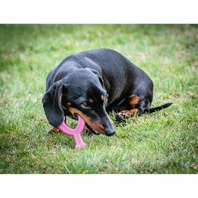Giocattolo da mordere per cani Nylabone WISHBONE Rosa Pollo XS