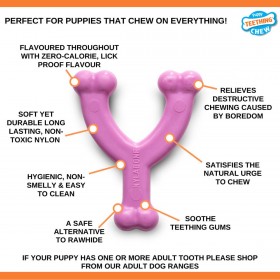 Giocattolo da mordere per cani Nylabone WISHBONE Rosa Pollo XS