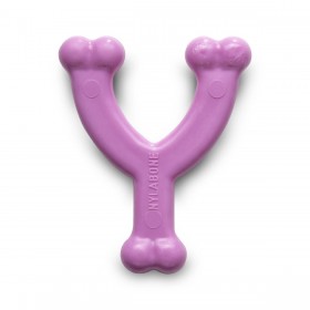 Giocattolo da mordere per cani Nylabone WISHBONE Rosa Pollo XS