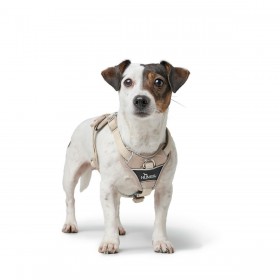 Imbracatura per Cani Hunter DIVO UP Beige M