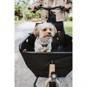 Imbracatura per Cani Hunter DIVO UP Beige M