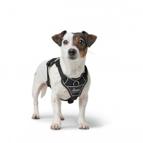 Imbracatura per Cani Hunter DIVO UP Nero XS