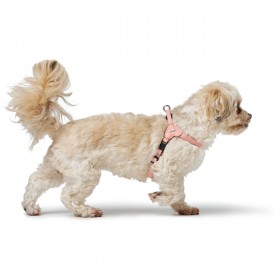 Imbracatura per Cani Hunter SOHO MINI Rosa