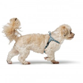 Imbracatura per Cani Hunter SOHO MINI Azzurro XS