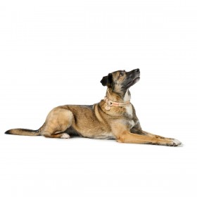 Collare per Cani Hunter Malia Beige 12 40-49 cm