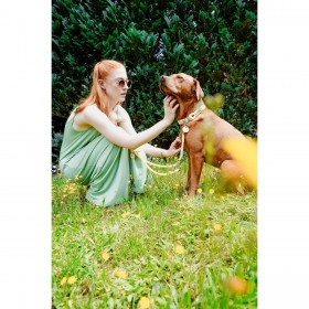 Collare per Cani Hunter Malia Lime M/L 45-54 cm