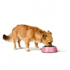 Ciotola per cani Hunter Chester Rosa 160 ml