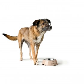 Ciotola per cani Hunter LUTON 160 ml