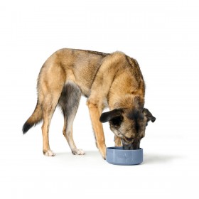 Ciotola per cani Hunter OSBY Azzurro Ceramica 550 ml