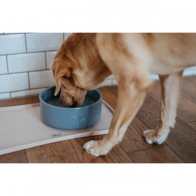 Ciotola per cani Hunter OSBY Azzurro Ceramica 550 ml