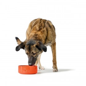 Ciotola per cani Hunter OSBY Orange