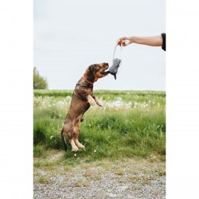 Giocattoli per cani Hunter NEBRASKA Beige