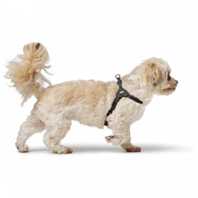 Imbracatura per Cani Hunter SOHO MINI Nero XXS/XS