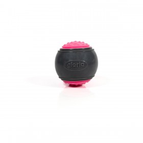 Palla per Animali Domestici Gloria PLAY AND RUN Rosa TPR M 6,35 cm 2 Unità