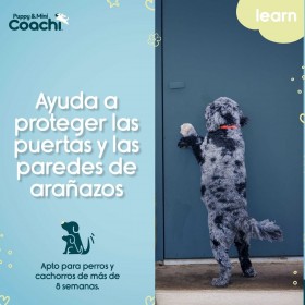 Imbracatura per Cani Coachi