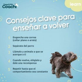 Imbracatura per Cani Coachi