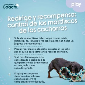 Imbracatura per Cani Coachi