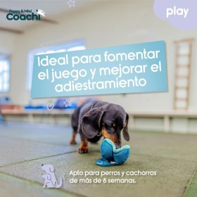 Imbracatura per Cani Coachi