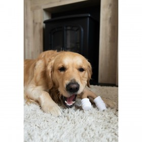 Giocattoli per cani Nylabone Marrone Burro Di Arachidi L