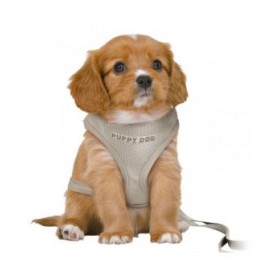 Imbracatura per Cani Trixie Junior Grigio chiaro M/L