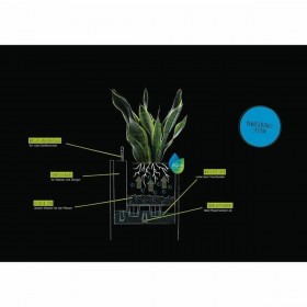 Vaso Lechuza 40 x 40 x 40 cm Grigio polipropilene Plastica