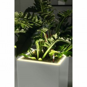 Vaso Lechuza 40 x 40 x 76 cm Argentato (1 Unità)