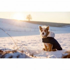 Cappotto per Cani Kerbl Nero