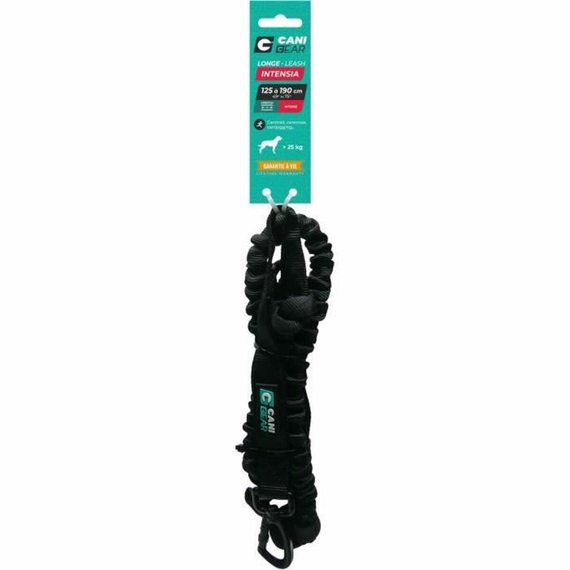 Guinzaglio per Cani Nero