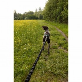 Guinzaglio per Cani Nero